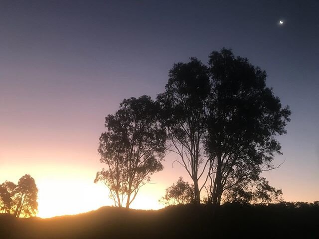 The magic of home ❤️